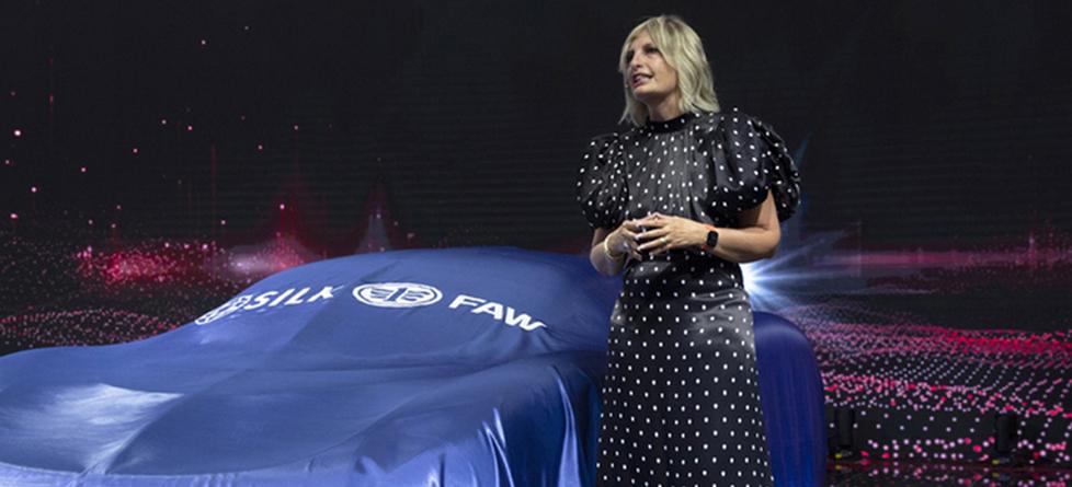 Silk-Faw, indagine e dubbi. La manager Bassi: «Il progetto va avanti»