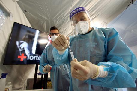 Covid in Sardegna, 467 nuovi casi e 4 decessi