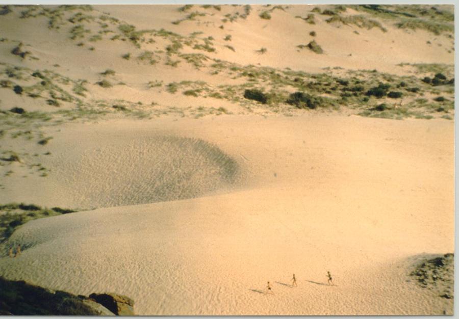
	Una spiaggia dell'Oristanese, immagine di repertorio

