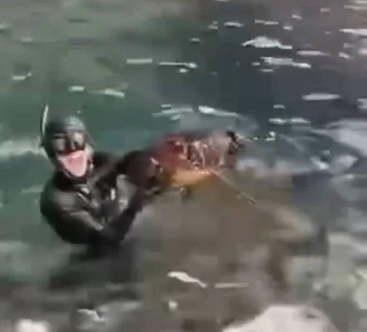 Ritorna l’estate cafona, la bravata di due blogger: pesca in area protetta ad Alghero e video sui social 