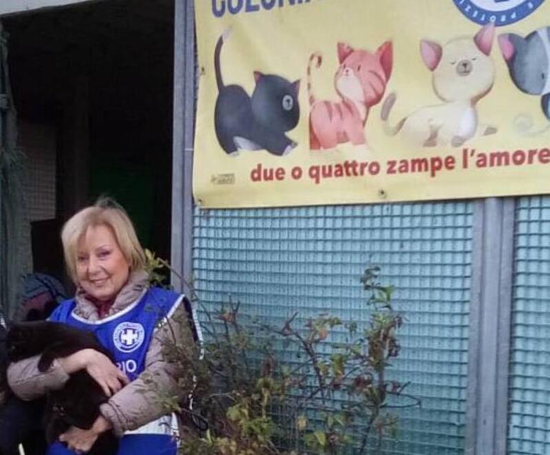 La presidentessa di Enpa Piombino Laura Sicari alla colonia felina di Calamoresca