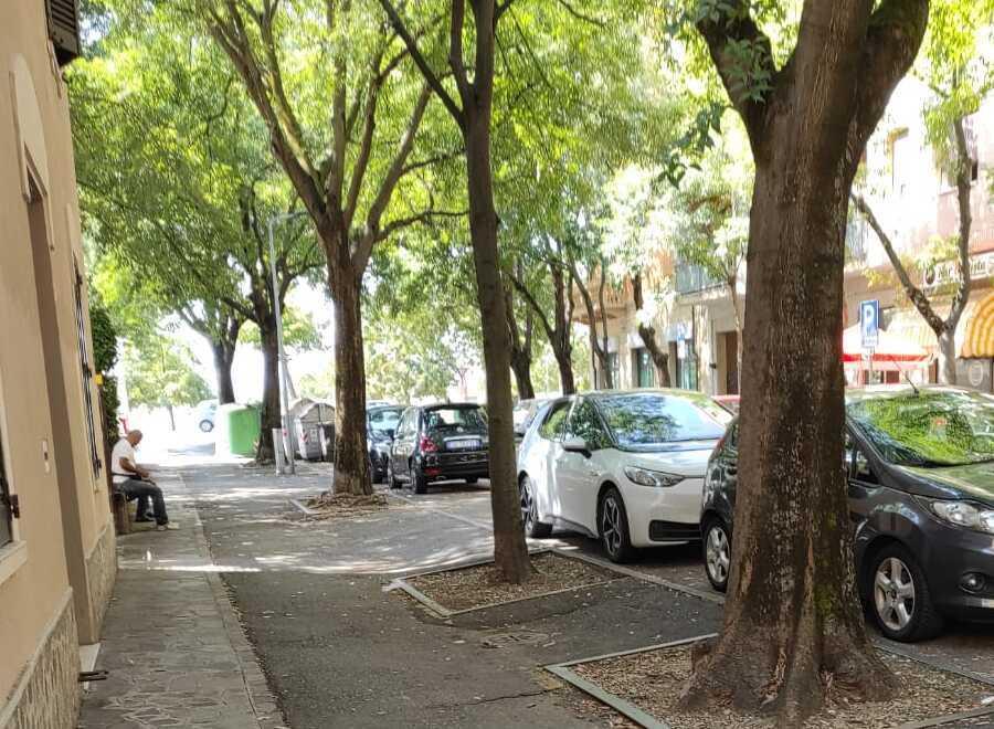 Modena «Furti e roghi, in 17 anni in via Ruffini ho visto di tutto» 