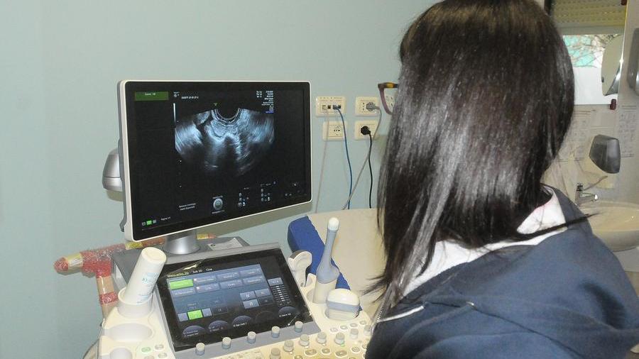 Reggio è la scheggia emiliana per tempi di visite e diagnosi