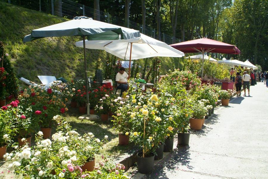 Il paradiso verde si chiama Murabilia