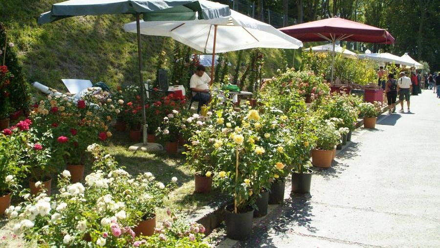 Il paradiso verde si chiama Murabilia
