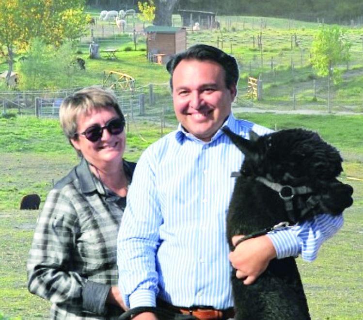 Allevamento di alpaca a fuoco nell’incendio, parte la raccolta fondi 