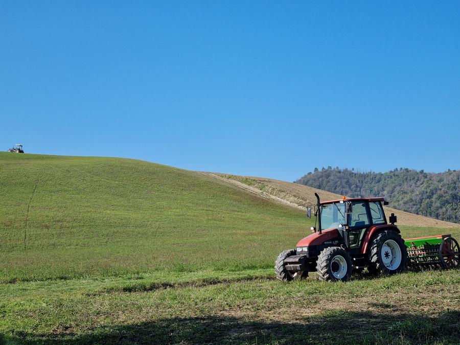Caro energia, agricoltura in crisi. «A settembre molte aziende toscane rischiano di chiudere»