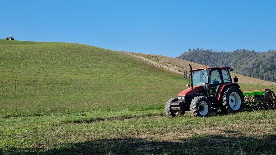Caro energia, agricoltura in crisi. «A settembre molte aziende toscane rischiano di chiudere»