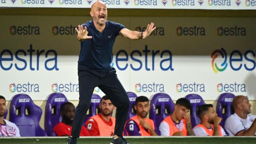 Vincenzo Italiano, allenatore della Fiorentina 