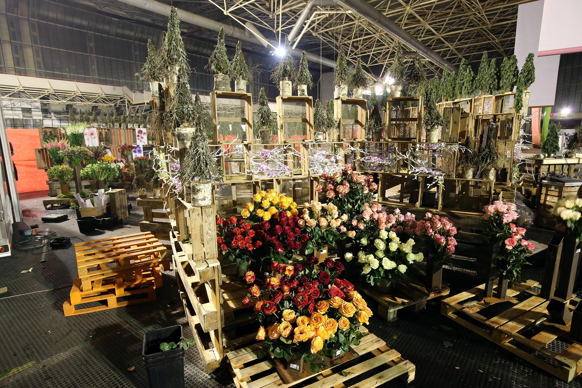 Il Mefit rischia la chiusura: mercato dei fiori con 700 operatori verso l’addio