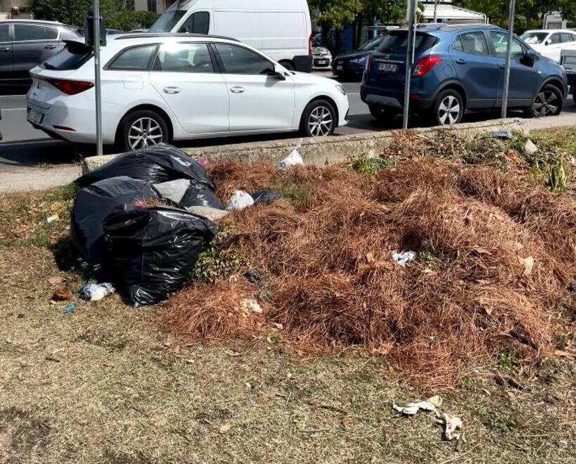 Castiglioncello e Vada, rifiuti per le strade