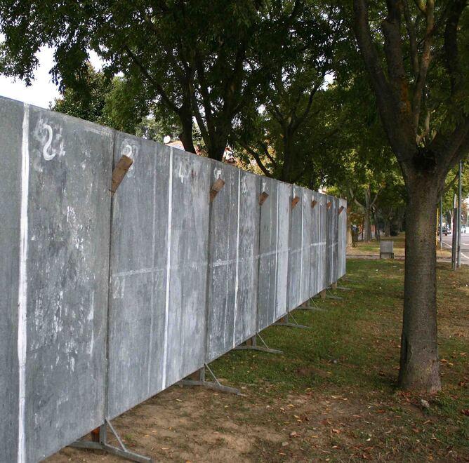 Animalisti, destre e liste “sudiste” La scheda elettorale adesso è completa