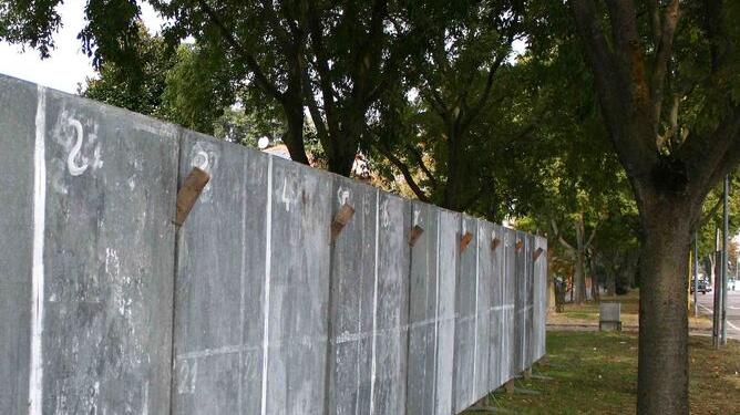 Animalisti, destre e liste “sudiste” La scheda elettorale adesso è completa