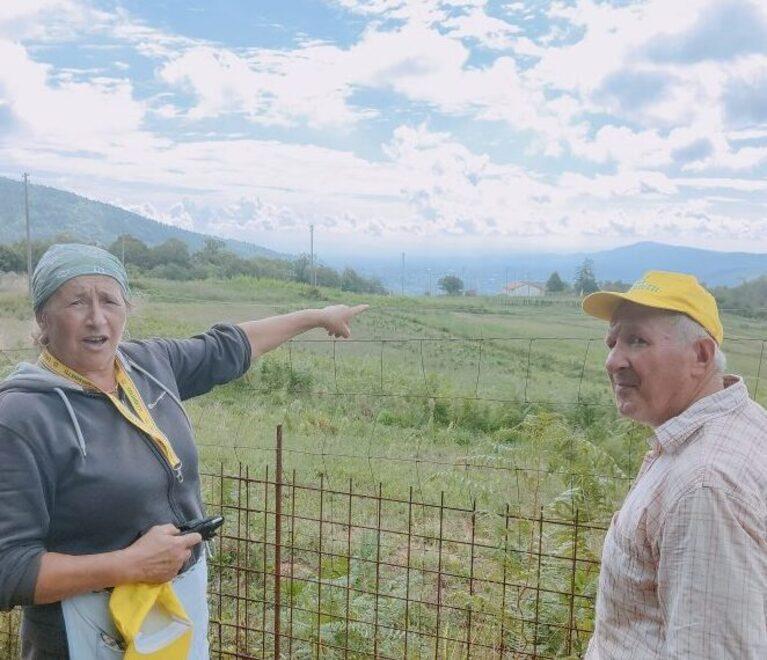 «Raccolto divorato dai cinghiali Il nostro podere in ginocchio»