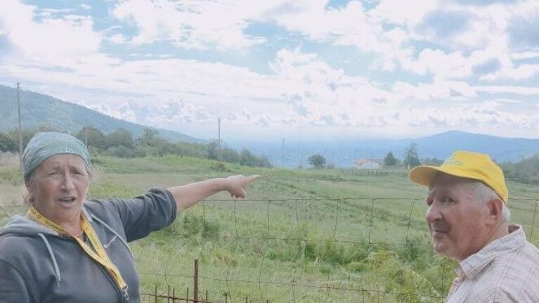 «Raccolto divorato dai cinghiali Il nostro podere in ginocchio»