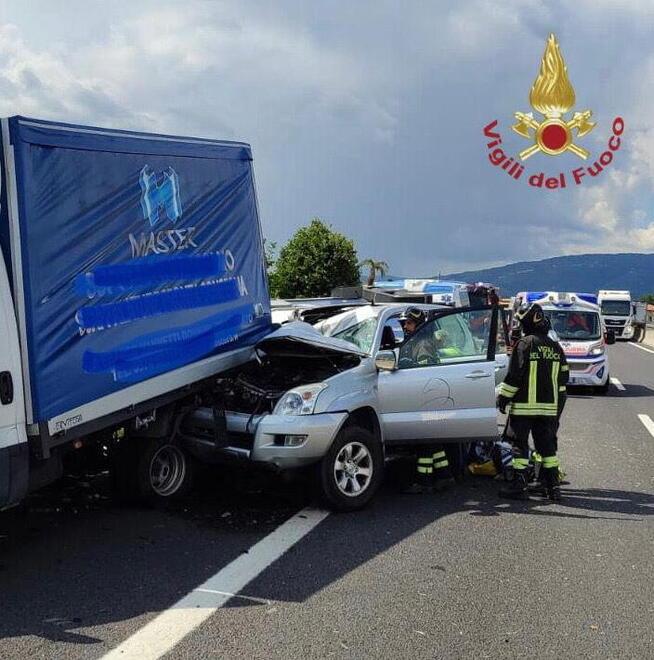 Scontro in A11:  muore un cavallo 