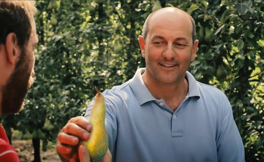 Superbollette anche per le cooperative ortofrutticole. Fruit Modena: «Noi da 500mila a 3 milioni annui»