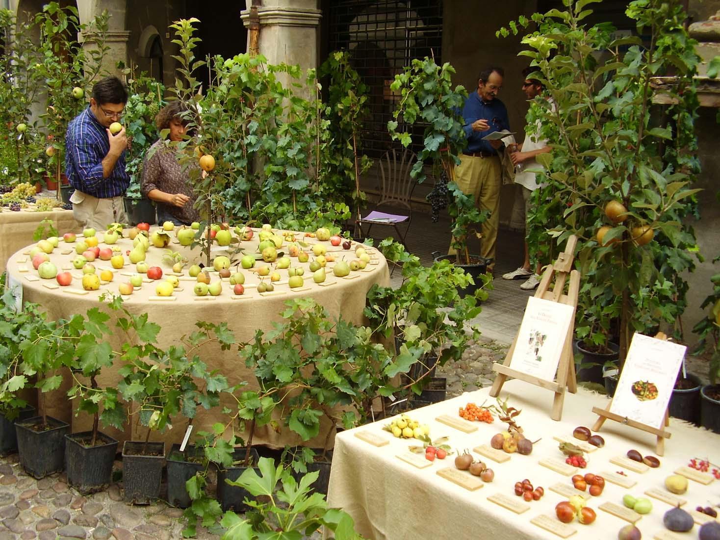 Alla scoperta di antiche tradizioni con la fiera delle "Piante e degli Animali perduti"