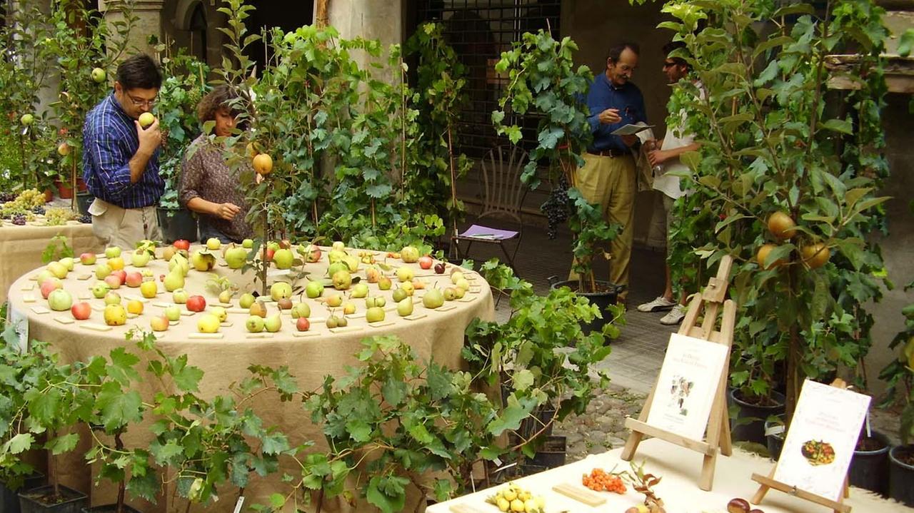 Alla scoperta di antiche tradizioni con la fiera delle "Piante e degli Animali perduti"