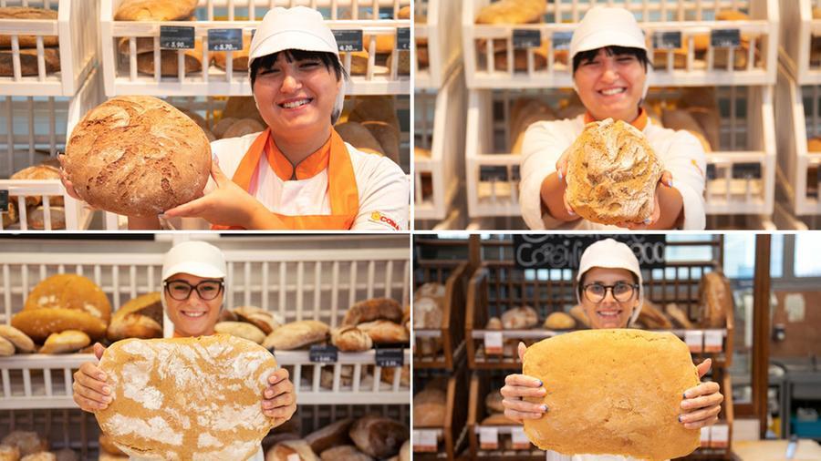 
	Dall&rsquo;alto in senso orario Panificio 900, Fornaio di Caldana, Baccinello e Corsini: le 4 tipologie di pane da oggi con lo sconto

