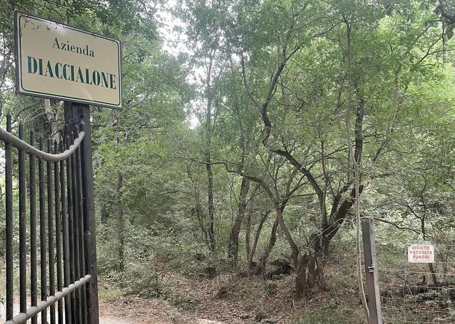 Il Consiglio di Stato: «Via i cancelli dell’azienda agricola Diaccialone»