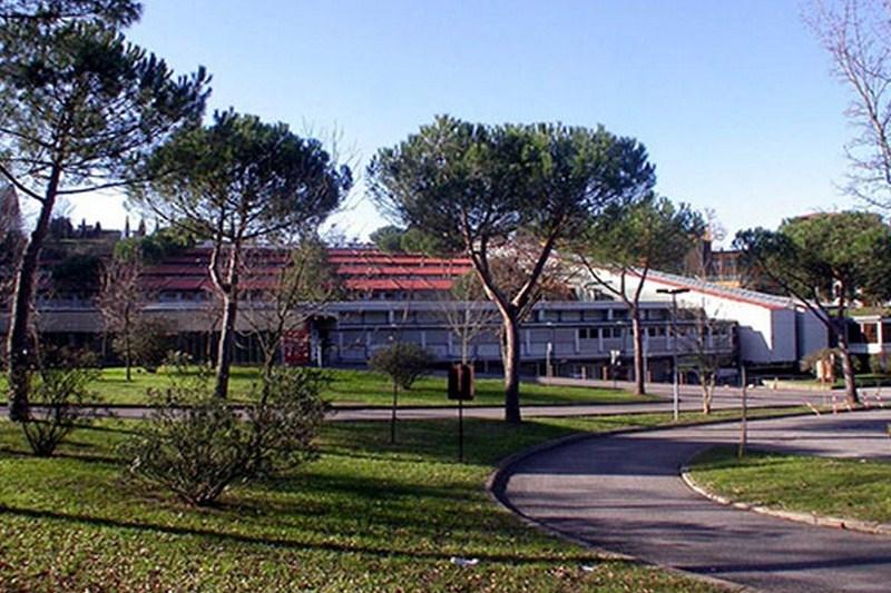 Al Palagi un'equipe contro l'infertilità