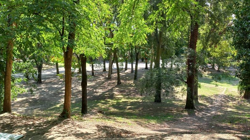 «Il bike park è pericoloso». E sulle Mura di Ferrara scoppia il caso