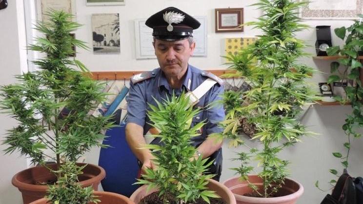 Spaccio di eroina sul viale Italia, arrestato dopo l’inseguimento