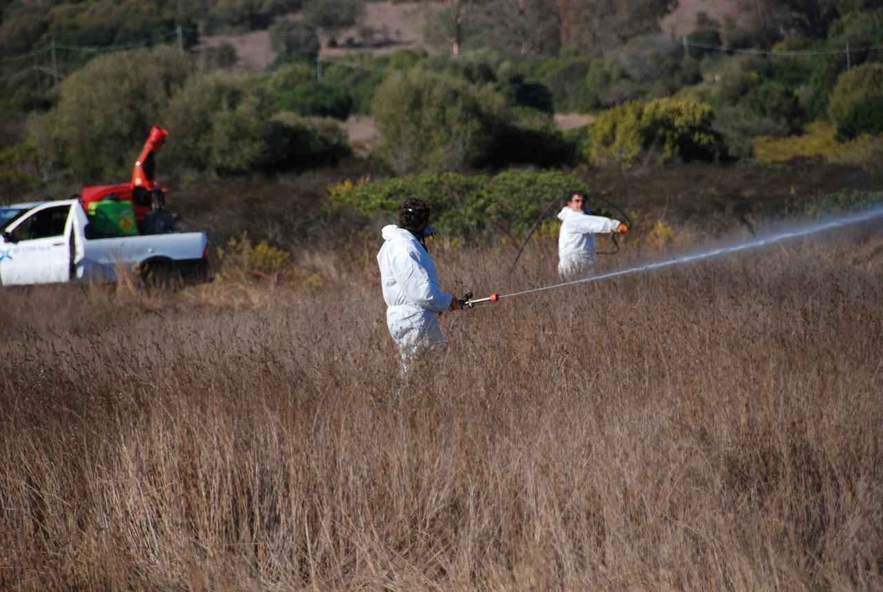 
	Un'immagine di disinfestazione effettuata nell'isola per evitare la diffusione del virus della Febbre del Nilo&nbsp;

