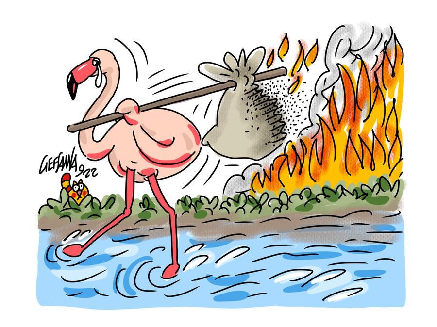 La vignetta di Gef: disastro ambientale per il rogo doloso a Molentargius