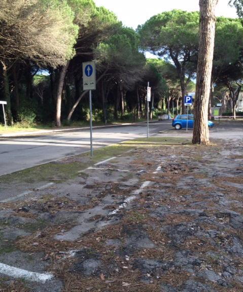 Le condizioni di un tratto di via dei Platani (foto agenzia Bf)