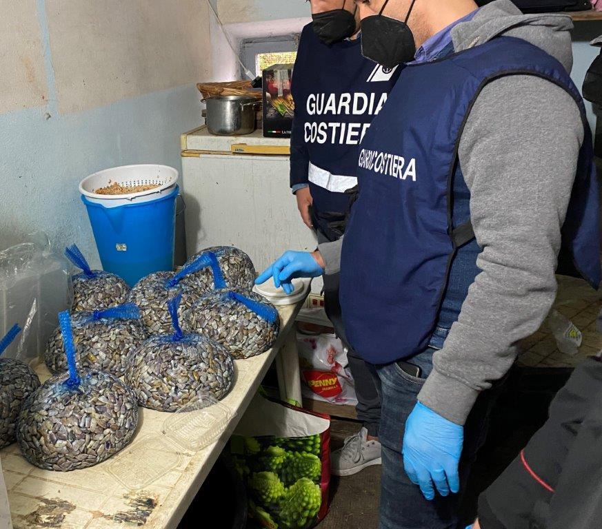 Viareggio, blitz nel laboratorio abusivo al Varignano: nei guai falso venditore di arselle