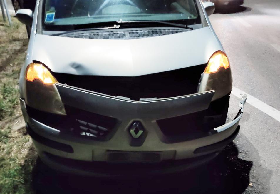 Finisce con l’auto contro un daino