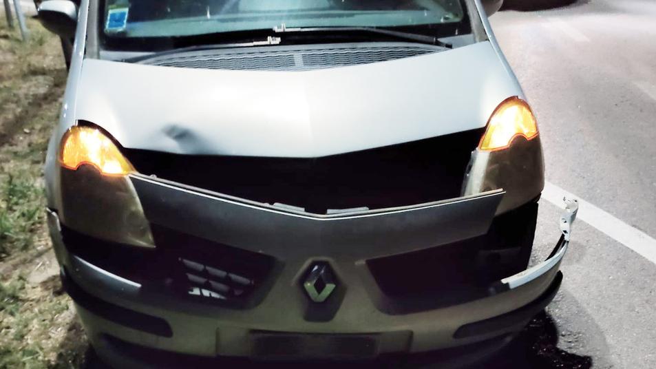 Finisce con l’auto contro un daino