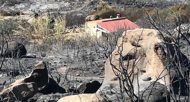 «Nessun divieto di caccia a Castancoli a quasi un anno dall’incendio di 40 ettari»