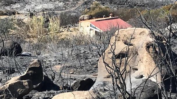 «Nessun divieto di caccia a Castancoli a quasi un anno dall’incendio di 40 ettari»
