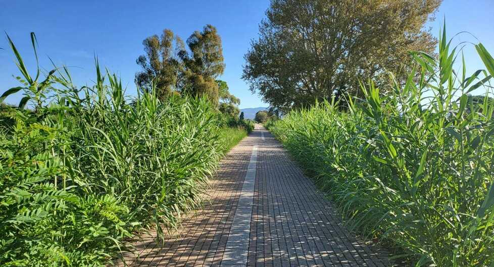 Cecina, la passeggiata lungofiume tra erba alta e panchine rotte: viaggio nel regno dei vandali