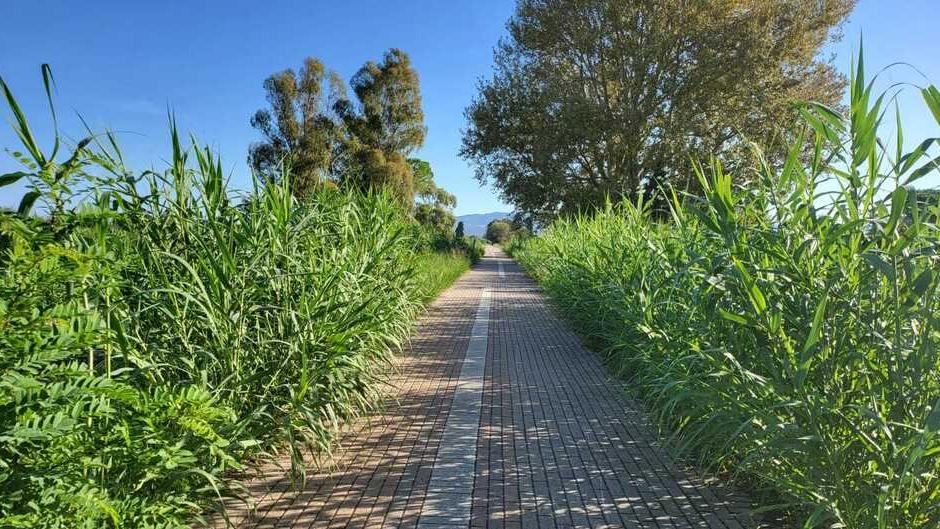 Cecina, la passeggiata lungofiume tra erba alta e panchine rotte: viaggio nel regno dei vandali