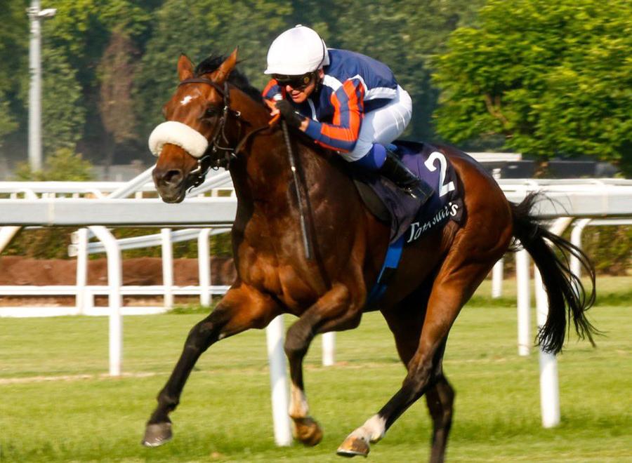 Il fantino Marco Ghiani positivo al doping nel Regno Unito