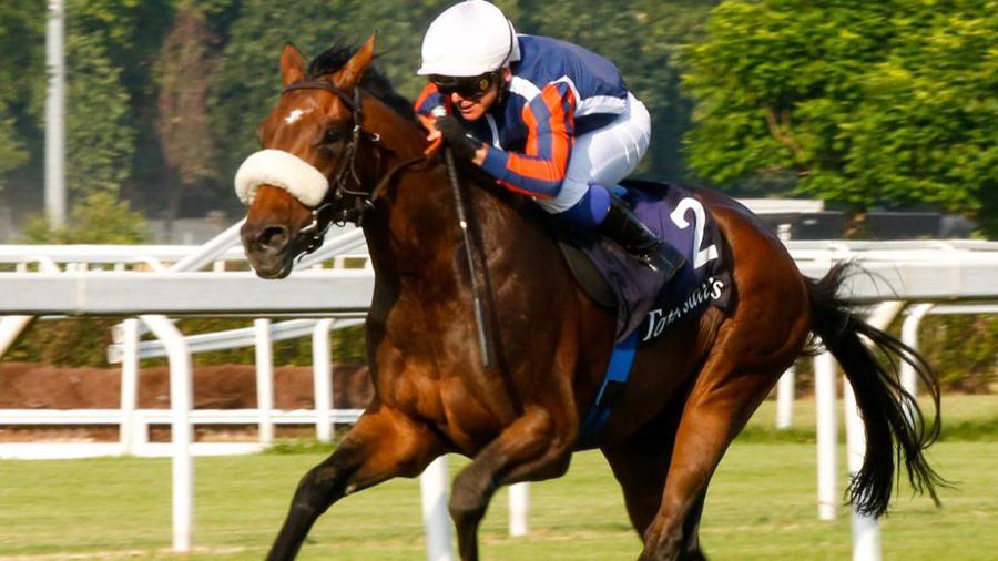 Il fantino Marco Ghiani positivo al doping nel Regno Unito