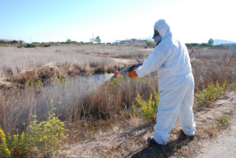 Oristano, al via la disinfestazione contro il virus della Febbre del Nilo