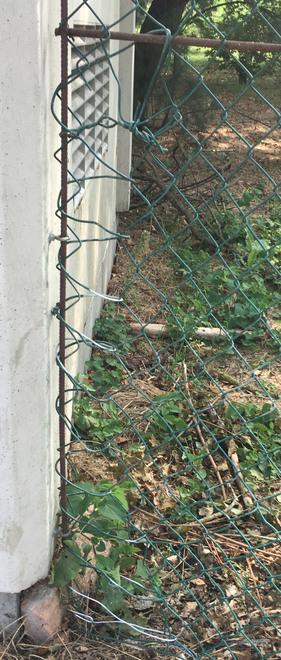 Argenta: colpo e danni da 50mila euro. Via il rame dal fotovoltaico 