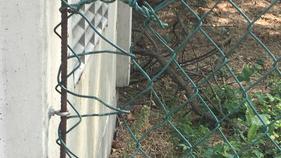 Argenta: colpo e danni da 50mila euro. Via il rame dal fotovoltaico