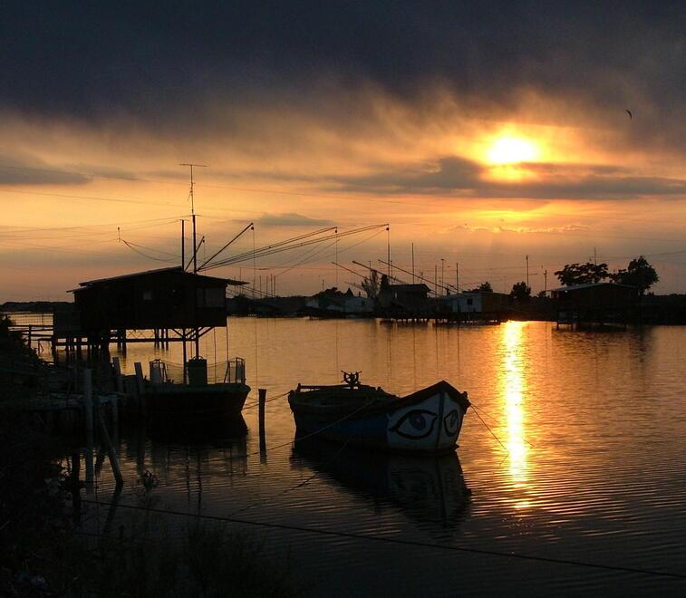 Le Voci del Delta: letture ed escursioni immersi nella natura