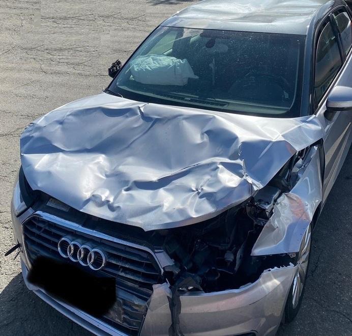 Marano, guida sulla Fondovalle: un cervo le piomba sull’auto