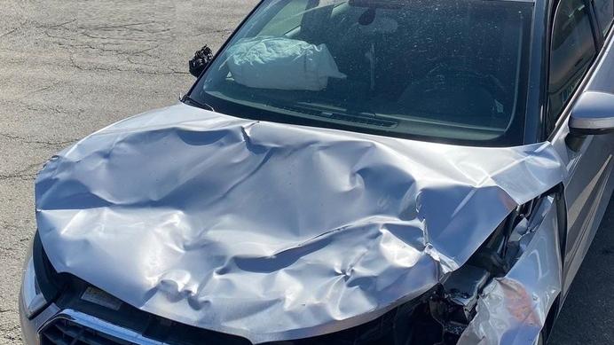 Marano, guida sulla Fondovalle: un cervo le piomba sull’auto