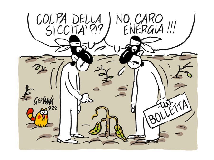 Anche i consorzi di bonifica arrancano per il caro bollette