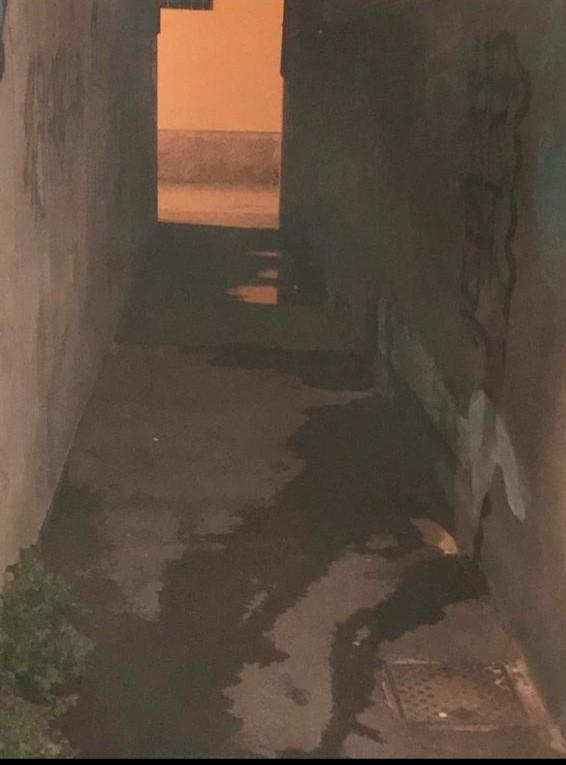 Sidoli al comitato anti-movida: «Confrontiamoci su via del Guazzatoio»