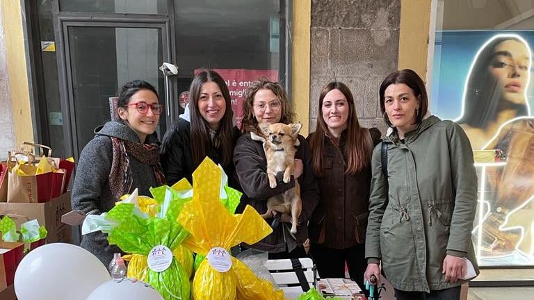 Dona mezzo milione di euro all’Ail di Pisa: chi è il benefattore e i motivi del gesto