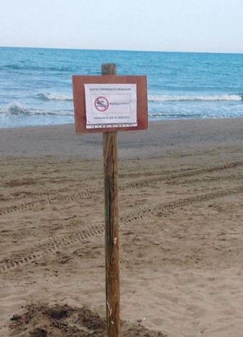 San Vincenzo, vietato fare il bagno: ecco perché più della metà del mare è off-limits